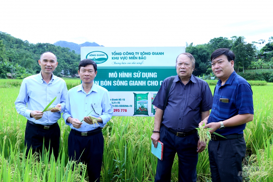 Phân bón Sông Gianh: Kiến tạo phát triển nông nghiệp dinh dưỡng